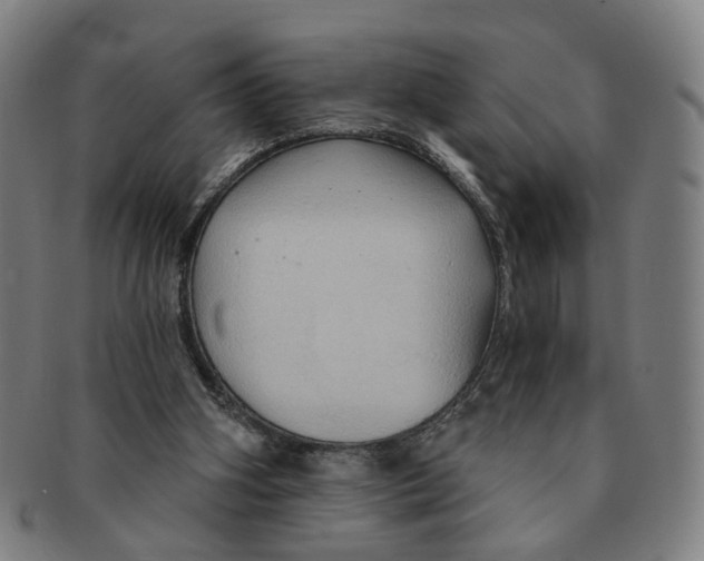 X0000090980106200708301259