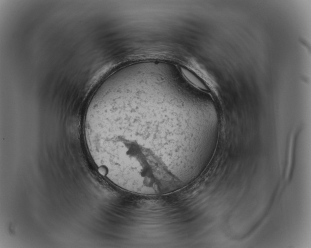 X0000090980107200708301259