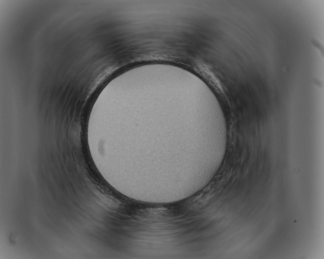 X0000090980108200708301259