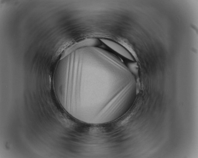 X0000090980109200708301259