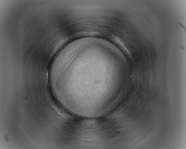 X0000090980110200708301259