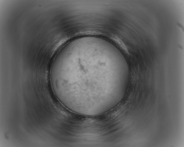X0000090980111200708301259
