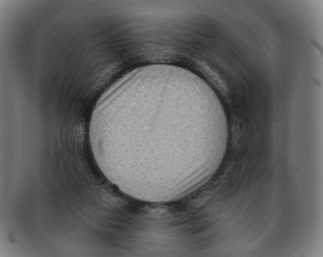 X0000090980113200708301259