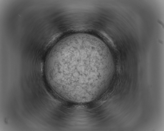 X0000090980115200708301259