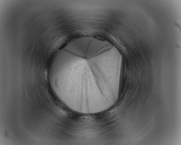 X0000090980117200708301258