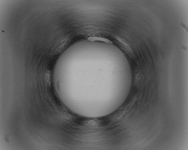 X0000090980121200708301258
