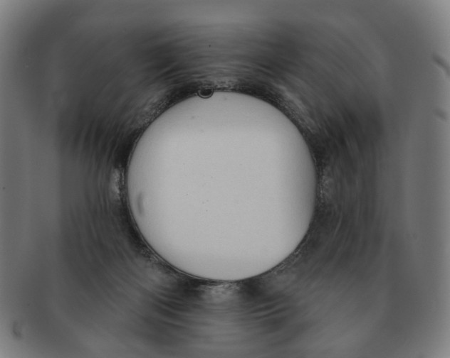 X0000090980122200708301258