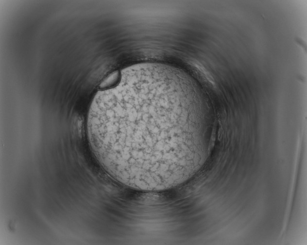 X0000090980123200708301258