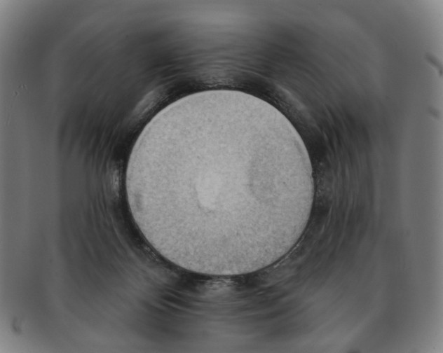 X0000090980124200708301258