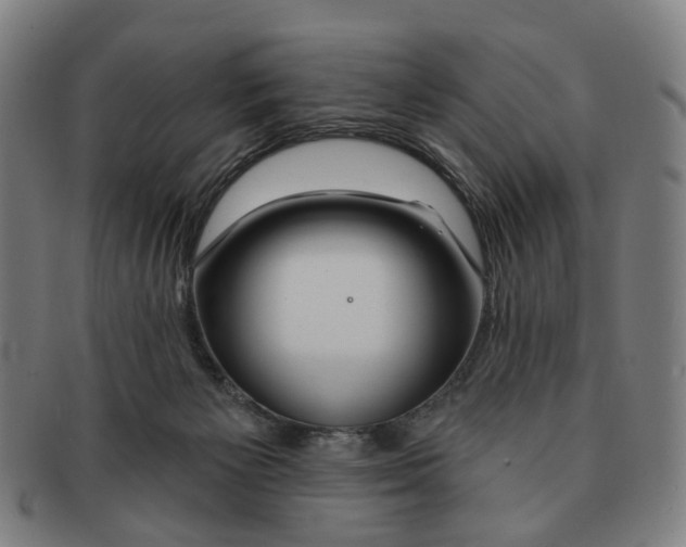 X0000090980125200708301258