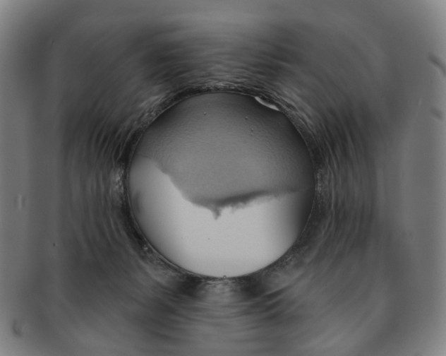 X0000090980127200708301258