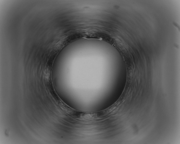 X0000090980129200708301258