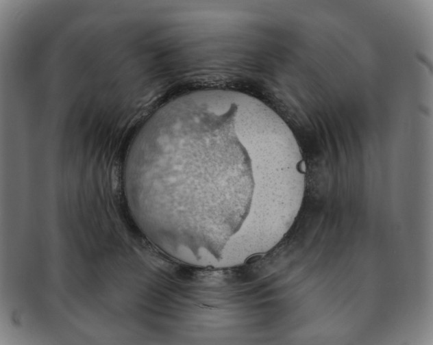 X0000090980131200708301258