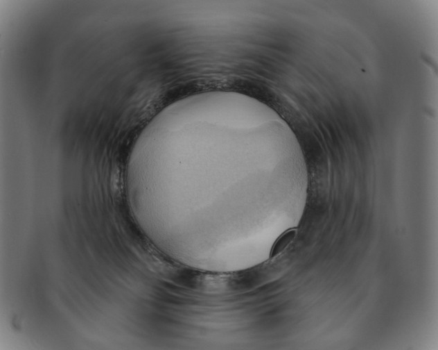 X0000090980134200708301258