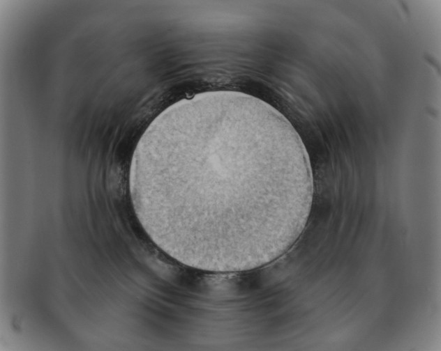 X0000090980136200708301258