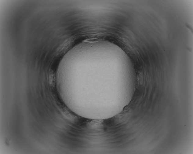 X0000090980138200708301258