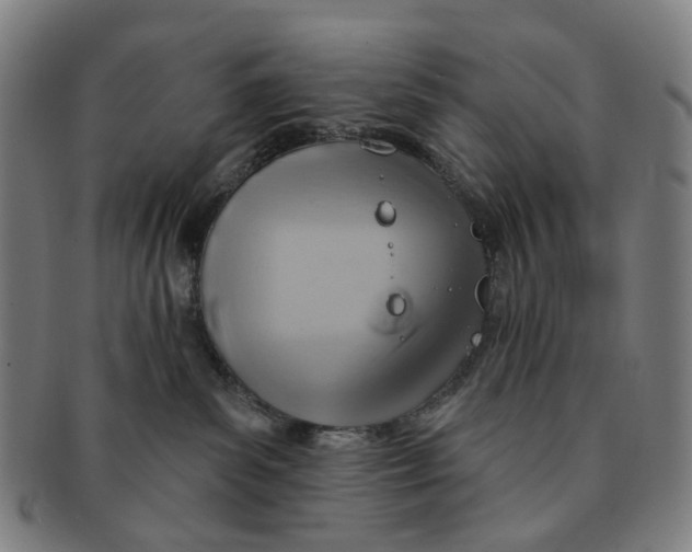 X0000090980139200708301258