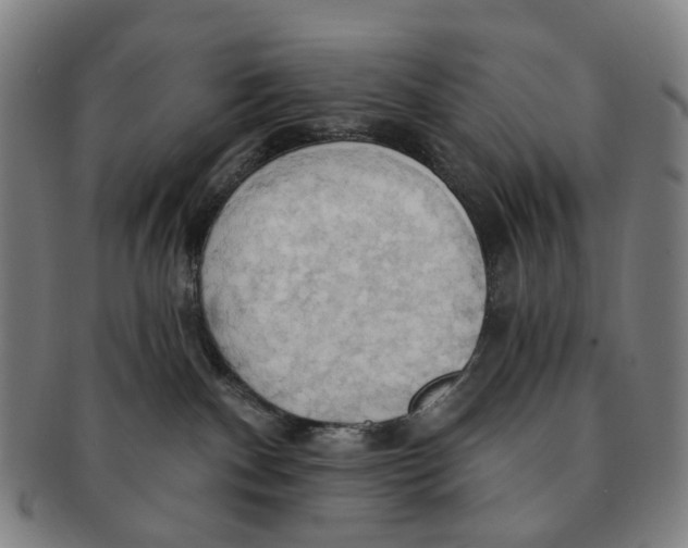 X0000090980140200708301258