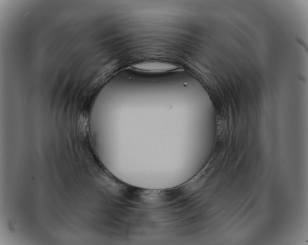 X0000090980142200708301258