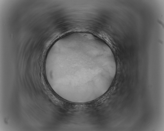 X0000090980145200708301257