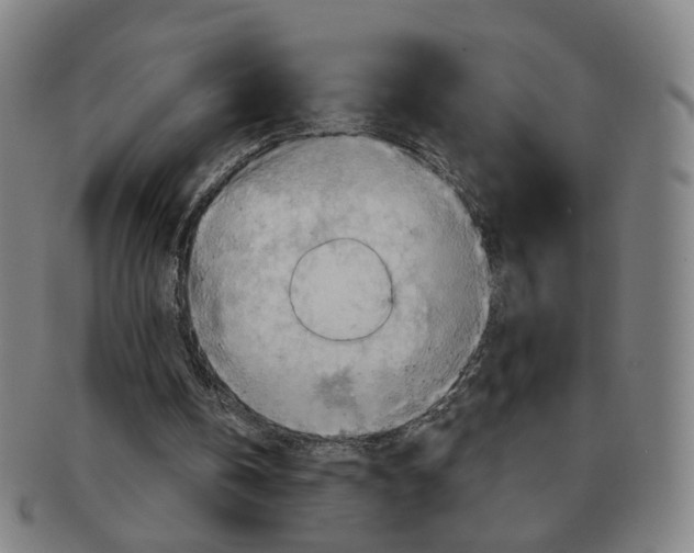 X0000090980146200708301257