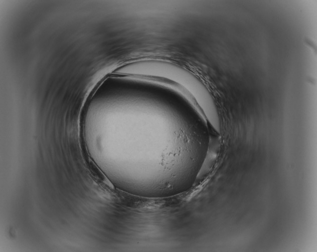 X0000090980148200708301257