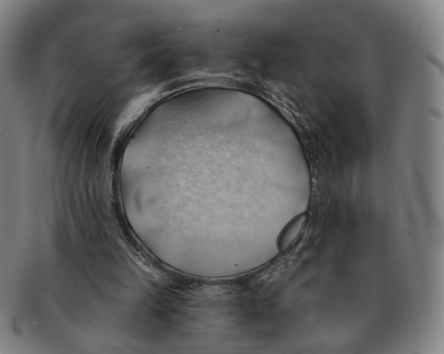 X0000090980149200708301257