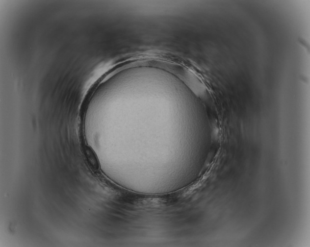 X0000090980152200708301257