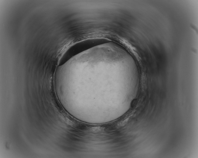X0000090980153200708301257