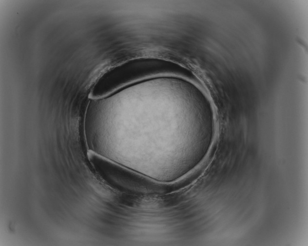 X0000090980154200708301257