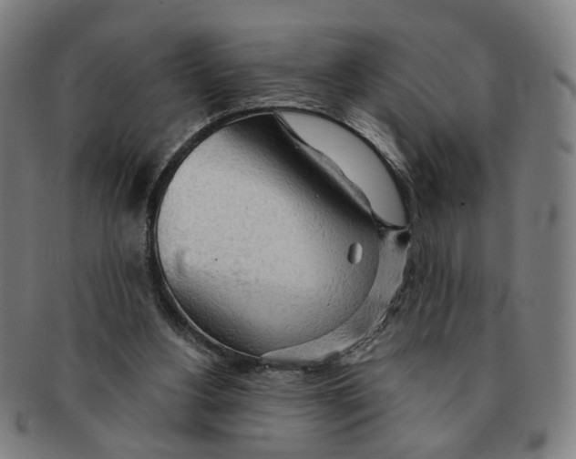 X0000090980156200708301257