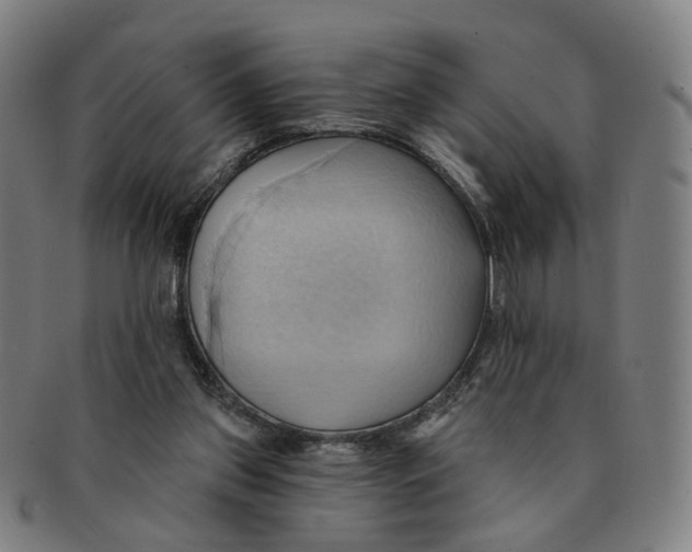 X0000090980157200708301257