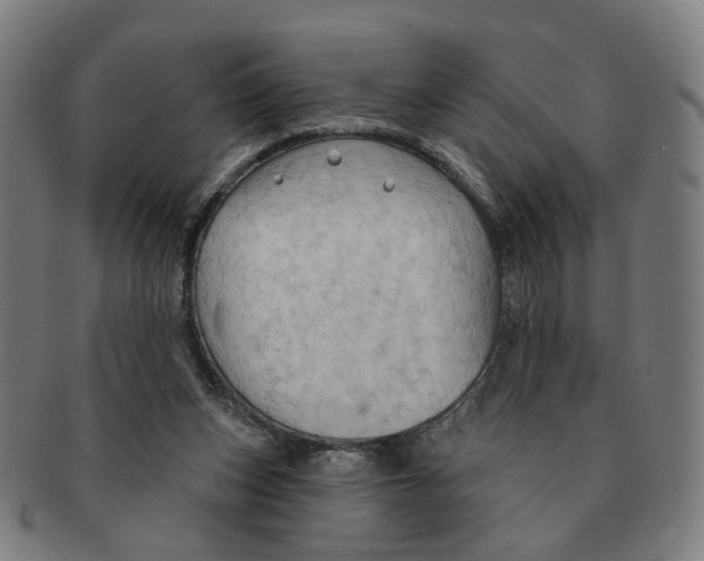 X0000090980159200708301257