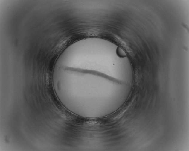 X0000090980161200708301257