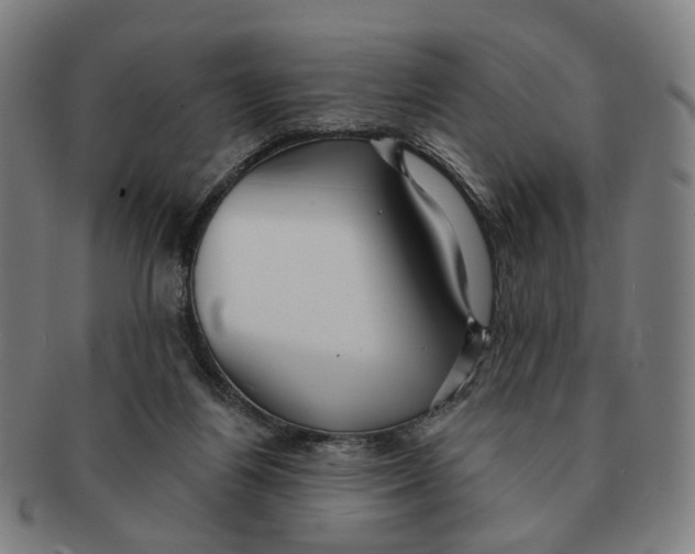 X0000090980164200708301257