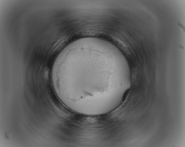 X0000090980166200708301257