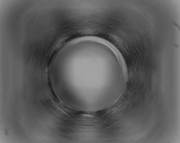 X0000090980167200708301257