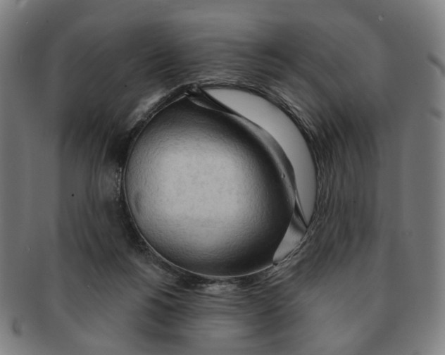 X0000090980168200708301257