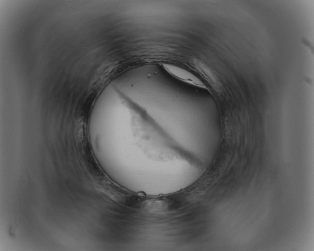 X0000090980169200708301257