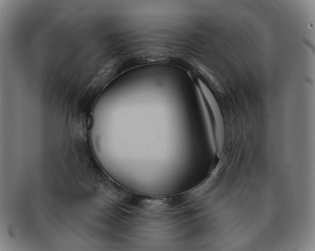 X0000090980170200708301257