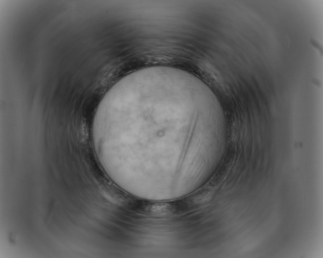 X0000090980173200708301258
