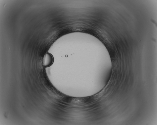 X0000090980174200708301258