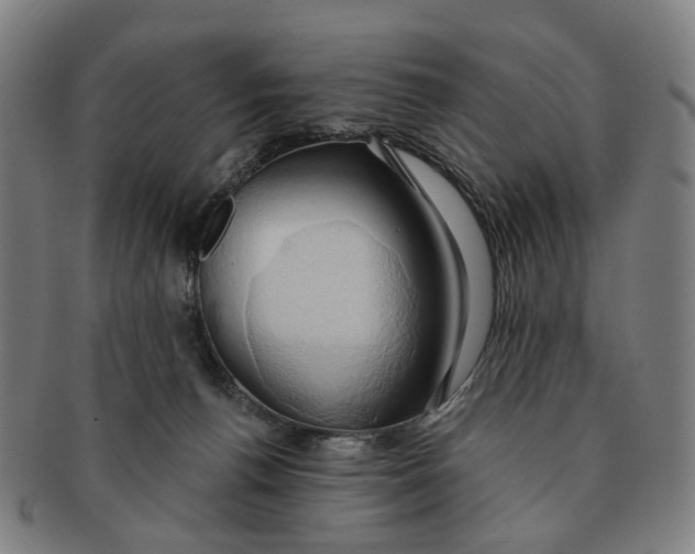 X0000090980176200708301258