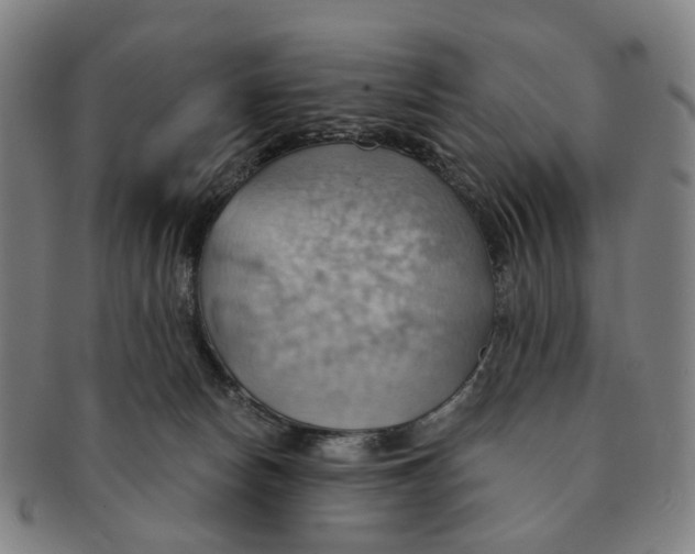 X0000090980178200708301258