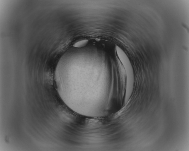 X0000090980180200708301258