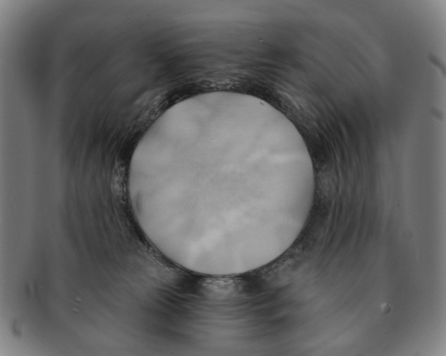 X0000090980181200708301258