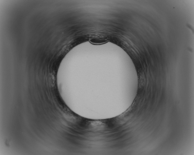 X0000090980183200708301258
