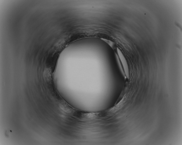 X0000090980184200708301258