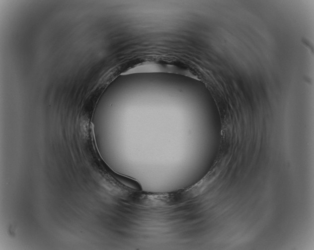 X0000090980188200708301258