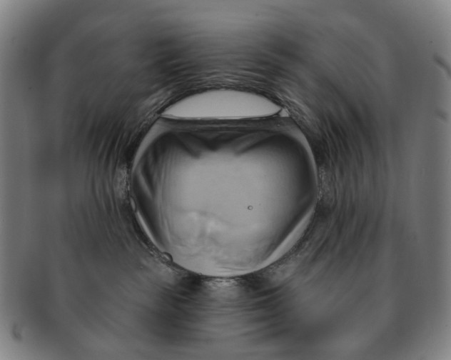 X0000090980189200708301258